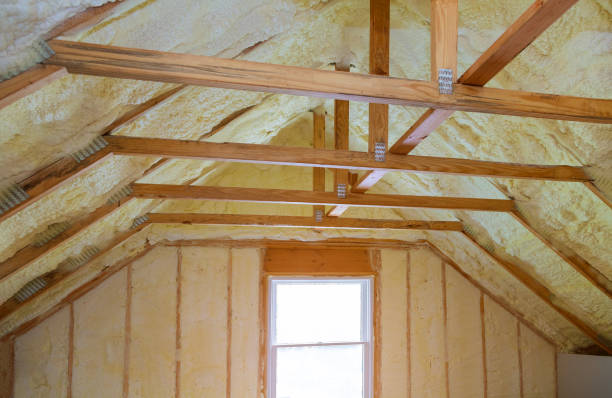 Best Geographic-Specific Insulation Services in Avenal, CA